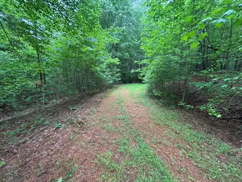 Lot 11 Horse Camp Drive Hayesville NC 28904