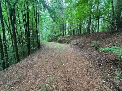 Lot 11 Horse Camp Drive Hayesville NC 28904