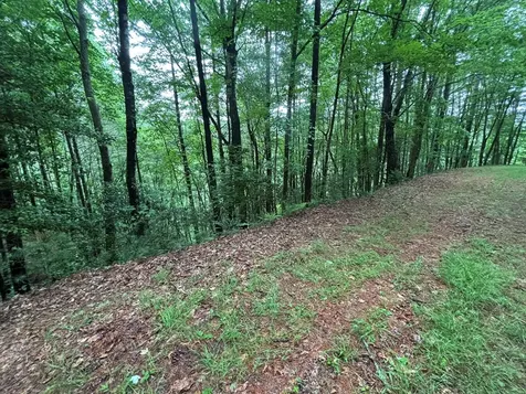 Lot 11 Horse Camp Drive Hayesville NC 28904