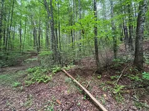 Lot 7 Horse Camp Drive Hayesville NC 28904