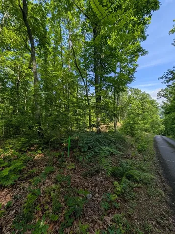 Tr 2 Flacon Hayesville NC 28904