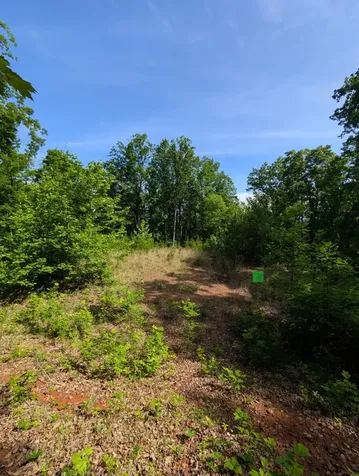 Tr 2 Flacon Hayesville NC 28904