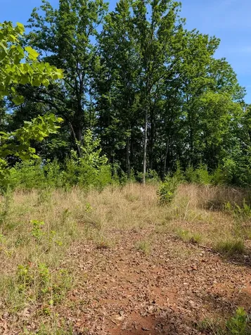 Tr 2 Flacon Hayesville NC 28904