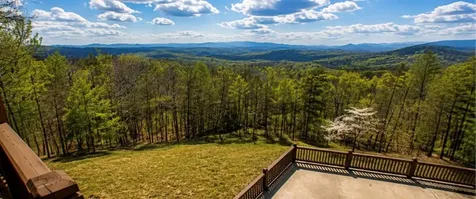 486 Henderson Lane Mineral Bluff GA 30559