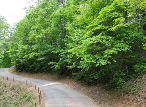 Lot 13 Dogwood Trail Robbinsville NC 28771