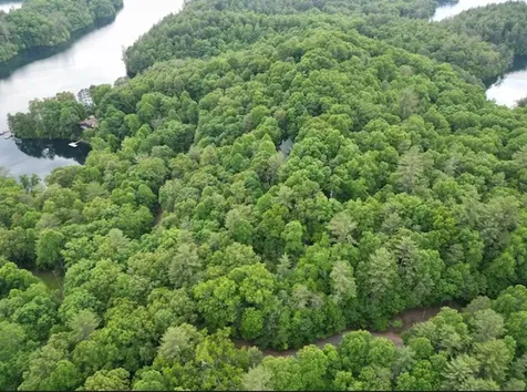 Lot 13 Dogwood Trail Robbinsville NC 28771