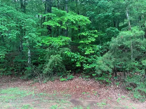 805 Bethabara Road Hayesville NC 28904