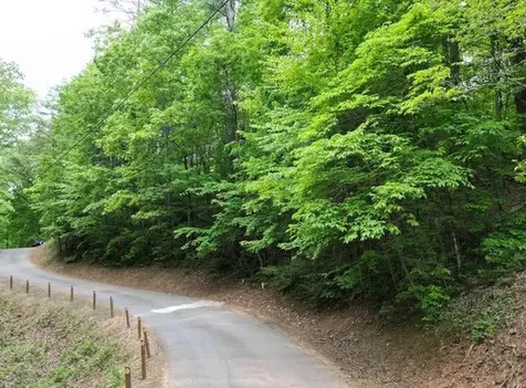 Lot 15 Dogwood Trail Robbinsville NC 28771