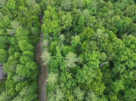Lot 15 Dogwood Trail Robbinsville NC 28771