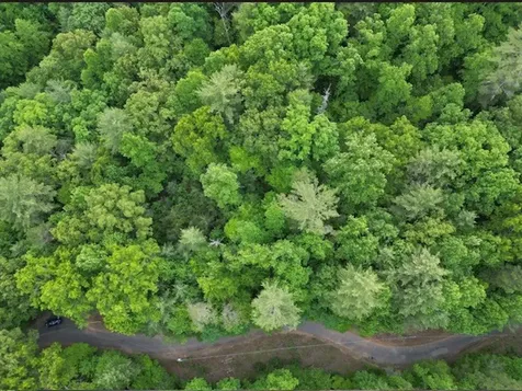 Lot 15 Dogwood Trail Robbinsville NC 28771