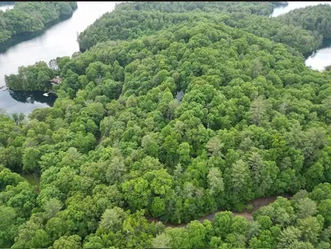 Lot 15 Dogwood Trail Robbinsville NC 28771
