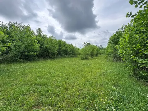 00 Green Acorn Lane Murphy NC 28906