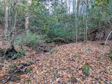 408 Smith Road Brasstown NC 28902