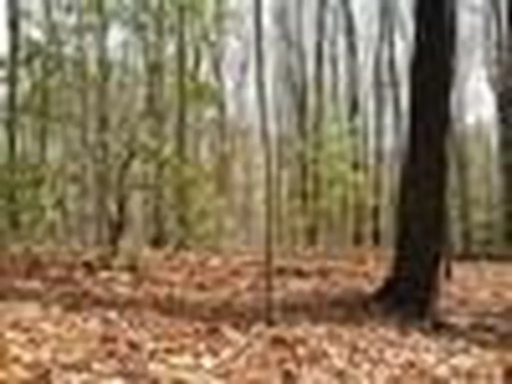 Lot 25 N Laurel Mountain Drive Brasstown NC 28902