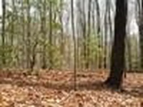 Lot 25 N Laurel Mountain Drive Brasstown NC 28902