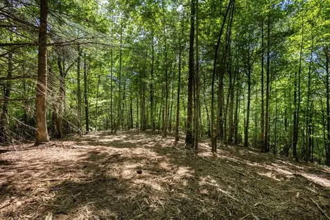 4.0 Acre Donley Road Murphy NC 28906