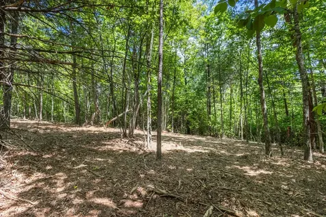 4.0 Acre Donley Road Murphy NC 28906