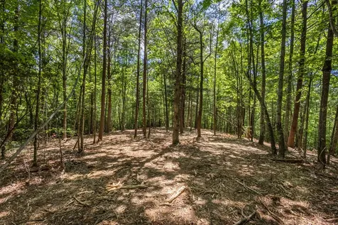 4.0 Acre Donley Road Murphy NC 28906