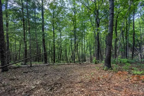 4.3 Ac Donley Road Murphy NC 28906