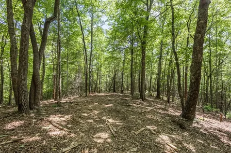 4.3 Ac Donley Road Murphy NC 28906