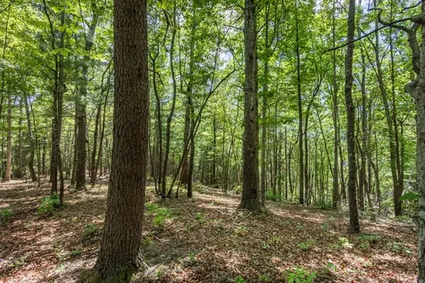 4.3 Ac Donley Road Murphy NC 28906