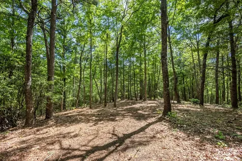 4.3 Ac Donley Road Murphy NC 28906