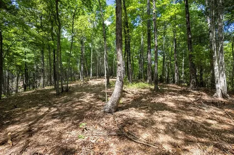 4.3 Ac Donley Road Murphy NC 28906