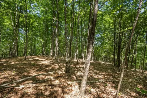 20 Ac Pack Mountain Road Murphy NC 28906