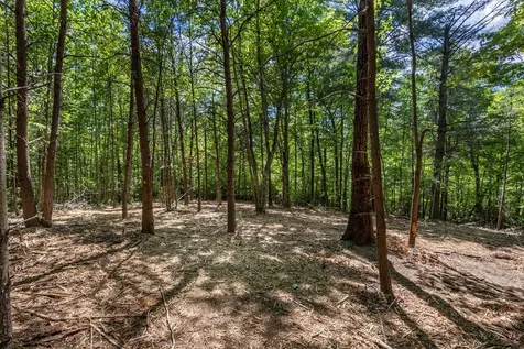 20 Ac Pack Mountain Road Murphy NC 28906
