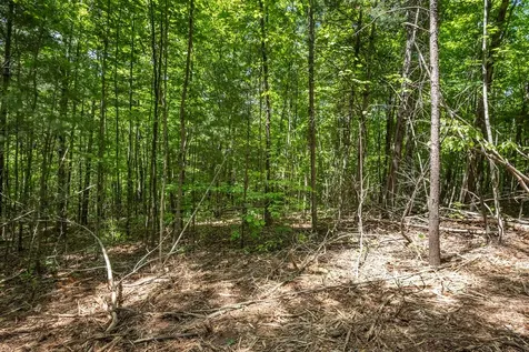 20 Ac Pack Mountain Road Murphy NC 28906