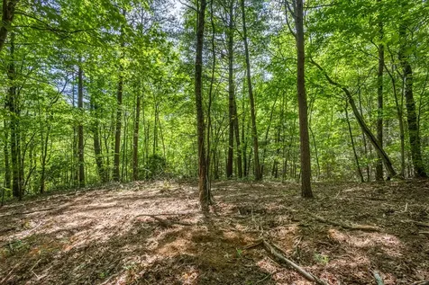 20 Ac Pack Mountain Road Murphy NC 28906