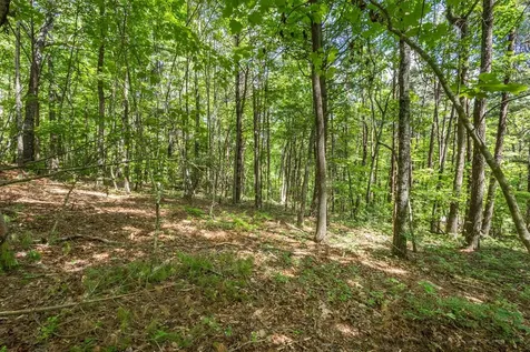 20 Ac Pack Mountain Road Murphy NC 28906