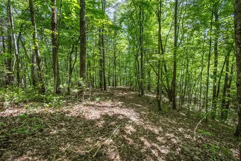 20 Ac Pack Mountain Road Murphy NC 28906