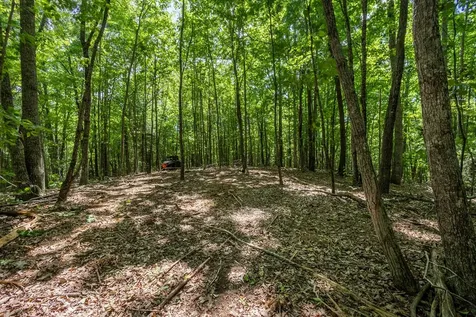 20 Ac Pack Mountain Road Murphy NC 28906