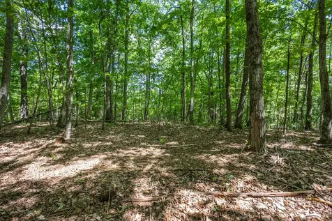 20 Ac Pack Mountain Road Murphy NC 28906