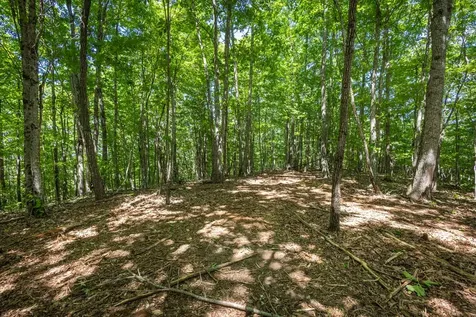 20 Ac Pack Mountain Road Murphy NC 28906