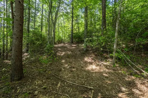 4.2 Acre Donley Road Murphy NC 28906