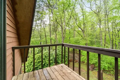 206 Ivy Knob Lane Hayesville NC 28904