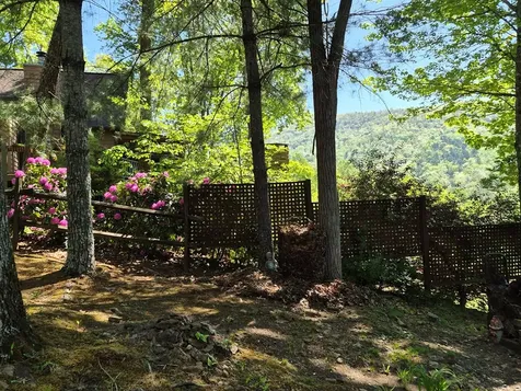 45 Black Bear Trace Murphy NC 28906