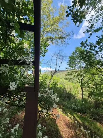 45 Black Bear Trace Murphy NC 28906