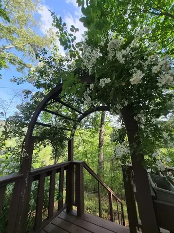 45 Black Bear Trace Murphy NC 28906
