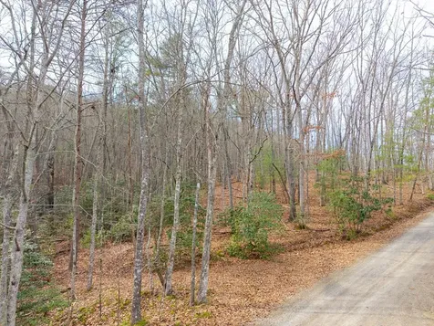 52B Forest View Drive Murphy NC 28906