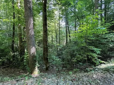 00 Briggs Cove Road Robbinsville NC 28771
