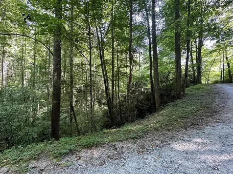 00 Briggs Cove Road Robbinsville NC 28771