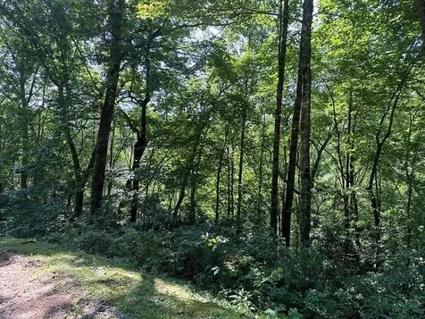 00 Briggs Cove Road Robbinsville NC 28771