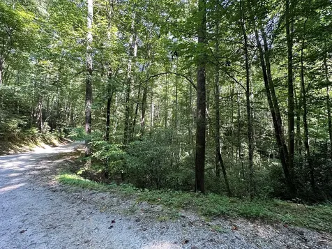 00 Briggs Cove Road Robbinsville NC 28771
