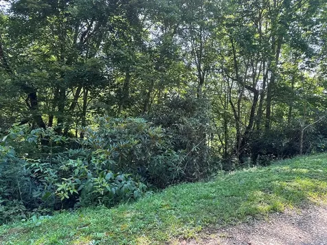 00 Briggs Cove Road Robbinsville NC 28771