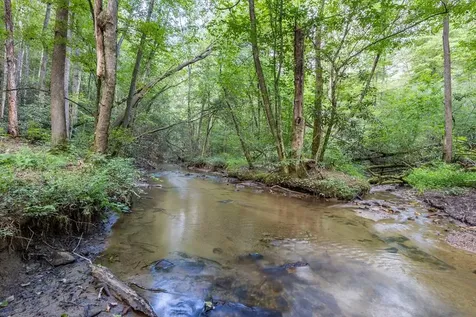 23.59 Ac Chestnut Flats Road Andrews NC 28901