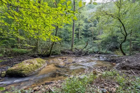 23.59 Ac Chestnut Flats Road Andrews NC 28901