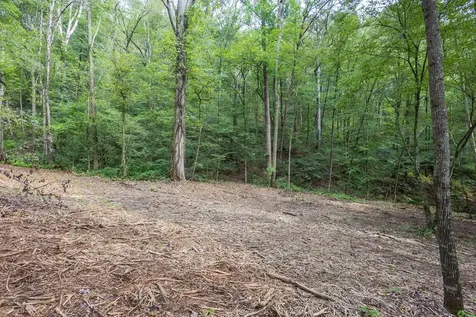 23.59 Ac Chestnut Flats Road Andrews NC 28901